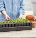 Burpee Self-Watering Seed Starter Tray, 72 Cells - Image 6