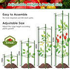 Riare 6 Pack 4 FT Tomato Cages for Garden- 48inches Heavy Duty Garden Stakes - Image 2