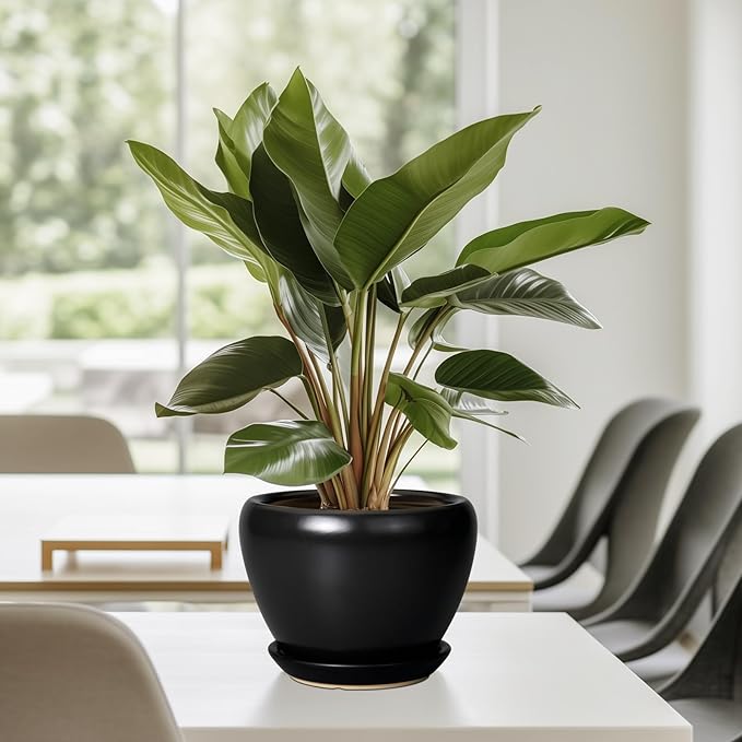 Ceramic Planter Pot - Image 8