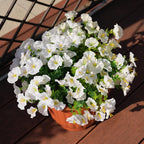 Artificial Flowers for Outdoors, UV Resistant Fake Silk Morning Glory, - Image 5