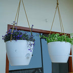 8 inch Hanging Planters, 2 Pack Self Watering Hanging Pots - Image 5