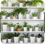 18 Pcs Self Watering Pots Plastic Plant 3 Sizes Flower Plant Pot - Image 6