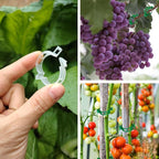 Plant Support Clips, Plastic Trellis Clips, Grape Vine Tomato Vine Vegetables - Image 3