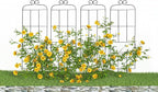 4 Pack 31'' Plant Trellis for Climbing Plants Indoor & Outdoor, Metal Trellis - Image 7