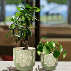 YBX 8 Inch + 6 Inch White Flower Pattern Plant Pots, Sand Glazed Ceramic Planter - Image 4