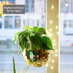 SCANDINORDICA Disco Ball Planter – Disco Ball Plant Hanger, Mirror Disco Planter - Image 4