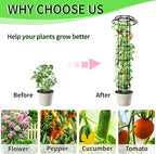 77-Inch Garden Trellis for Climbing Plants, Heavy-Duty Metal Obelisk - Image 5