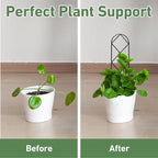 Coomin Small Plant Trellis for Potted Plants, 15in Plant Trellis Indoor - Image 2