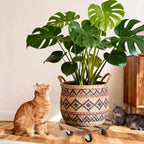 2 Pack Plant Stand with Wheels, Plant Caddies with 360° Lockable Smooth Sliding - Image 6