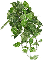Hollyone Artificial Pothos Hanging Plants 25" Fake Ivy Vine Faux Ivy Pothos by Hollyone