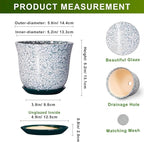 5.6 Inch Plant Pot - Image 2