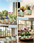 12 Pack 4 Inch Self Watering Plant Pots - Image 5