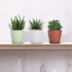 5 Inch Planter Pots, 6 Pack Indoor Planters, Small Flower Pots - Image 6