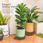 2 Pack Plant Stand Indoor and Outdoor, 12IN Premium Wooden Plant Caddy - Image 6