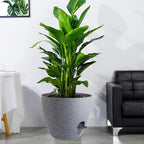 12 inch Large Self Watering Pots, Plastic Planters - Image 6
