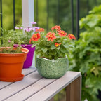 6 Inch Plant Pot - Image 4