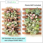 ShopLaLa Wall Planters - Image 6