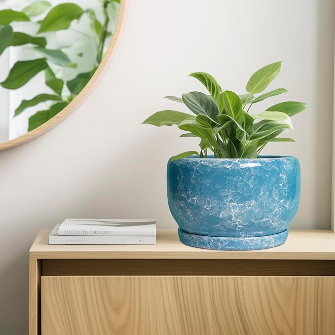 SQOWL Ceramic Planters - Image 7