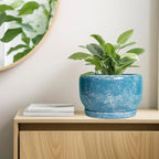 SQOWL Ceramic Planters - Image 7