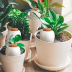 Terracotta Watering Spikes, 4 Pack Ollas Self Watering Globes, Slow Release - Image 4