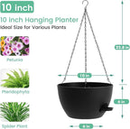 Set of 3-10 Inch Self Watering Hanging Planters - Image 3