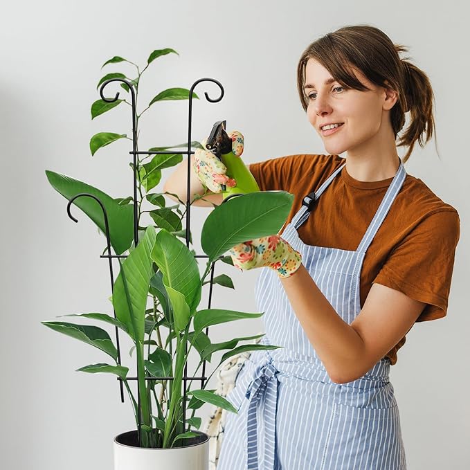 Plant Trellis for Potted Plants 2p, Larger 23in Garden Trellis for Climbing - Image 9