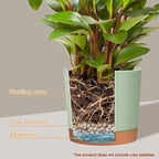 kubvici Indoor Plant Pots Set of 2 Planters 8 inch Plastic Planter - Image 4