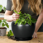 Ceramic Planter Pot - Image 4