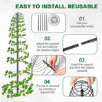 2 Pack Spiral Trellis for Climbing Plants Outdoor, 45 Inch Tall Heavy Duty - Image 6