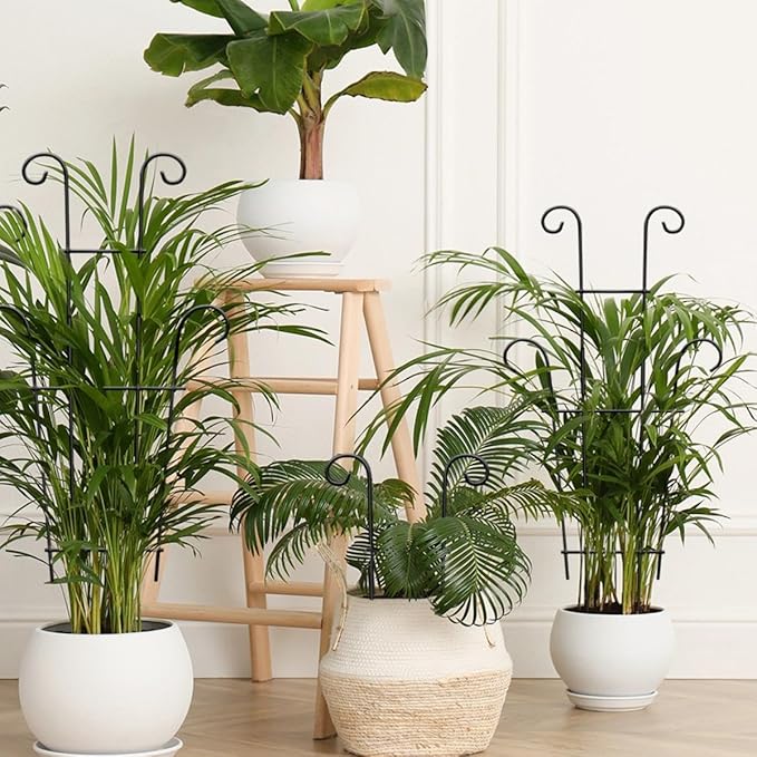 Plant Trellis for Potted Plants 2p, Larger 23in Garden Trellis for Climbing - Image 4