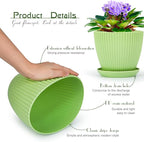 Plant Pots Indoor with Saucers & Drainage - Image 5