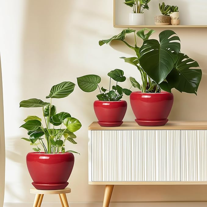 Ceramic Planter for Indoor Plants 8 Inch - Image 8