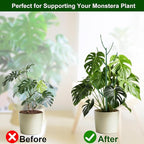 10 Pack Stackable Monstera Plant Support, Garden Stakes - Image 5