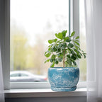 SQOWL Ceramic Pots for Plants - Image 4