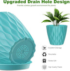 6 Pack 7 Inch Indoor Plant Pots - Image 3