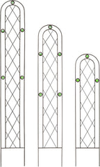 Arcadia Garden Products TR01 4' x 10" Arched Garden Trellis - Image 3