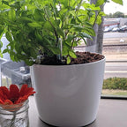 JOIKIT 4 Pack 7 Inches Self Watering Planter, Self Watering Pots - Image 6