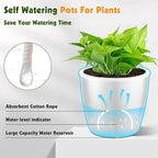 Self Watering Pots for Indoor Plants, Small African Violet Pots - Image 5