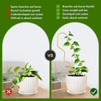 13.4 Inch Indoor Plant Trellis for Climbing Plants, Metal Trellis, Small Garden - Image 3