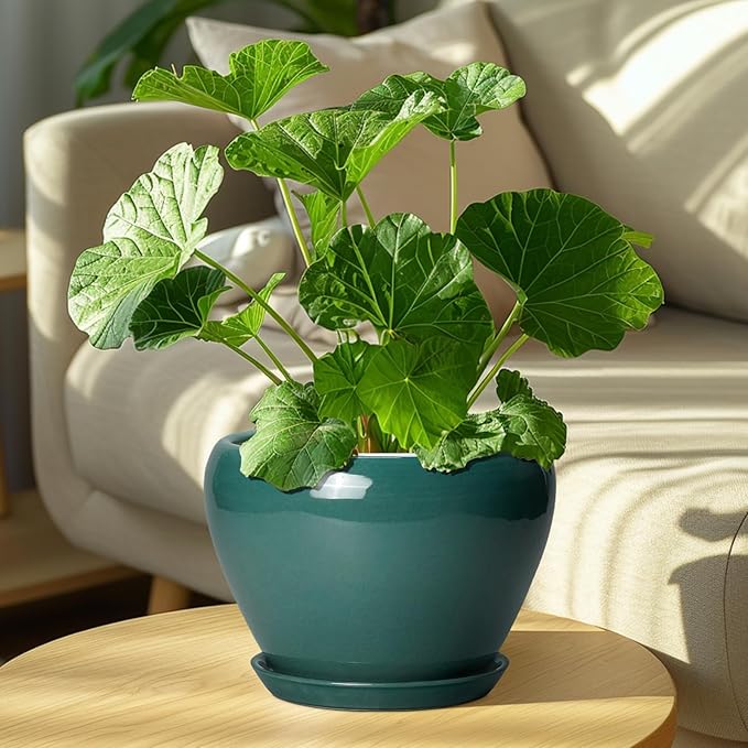 8 Inch Plant Pot - Image 7