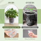Self Watering Pots for Indoor Plants - Image 5