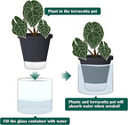 D'vine Dev 6 Inch Design Self Watering Planter - Image 5