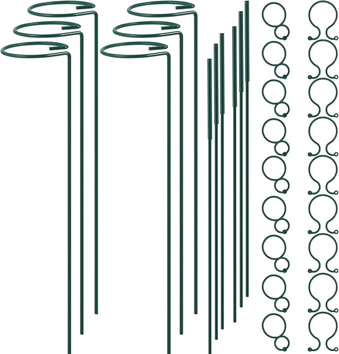 Plant Stake Support by RAIKEDR