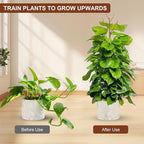 6 Pack Stackable Monstera Plant Support, Plant Stakes - Image 3