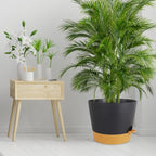 12 inch Large Self Watering Pots, Plant Pots - Image 7