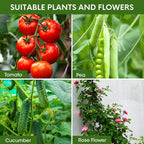 8PCS Tomato Cages for Garden, Tomato Trellis for Raised Garden Bed, 51.2" Tall - Image 5