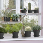 4 inch Small Plant Pots, 28 Pack Plastic Planters - Image 4