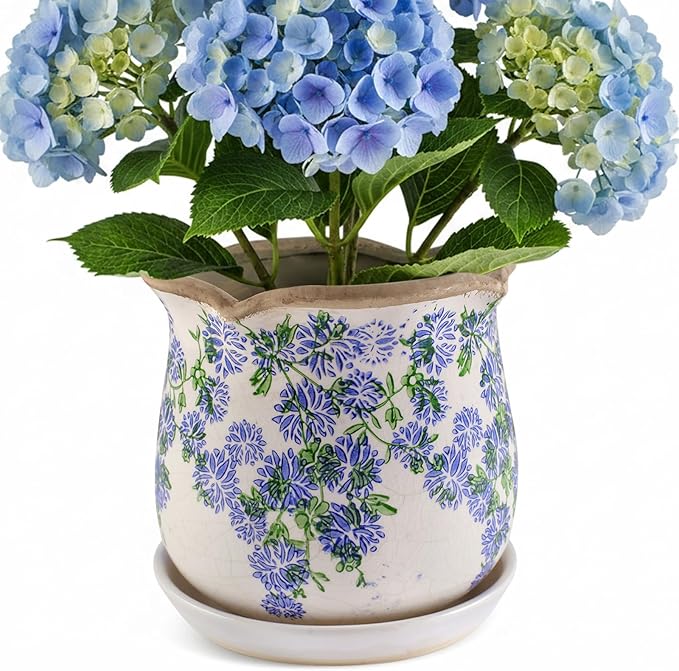 Ceramic-Planters-for-Indoor-Plants by Xoogifae