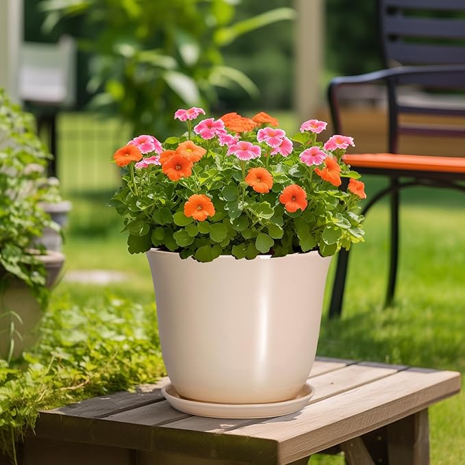 Ceramic Plant Pots - Image 4