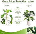 Stackable Monstera Plant Support Stakes, Climbing Support - Image 6